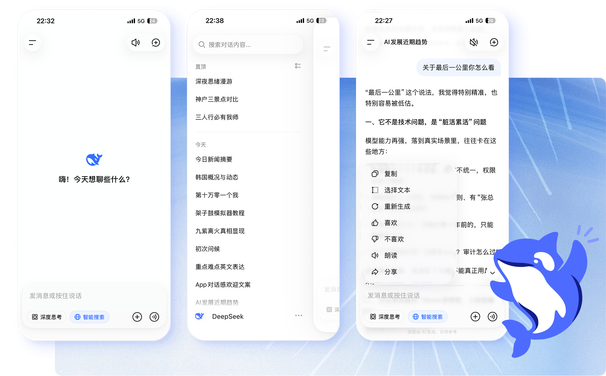 DeepSeek 开发平台接口架构与硬件加速拓扑示意